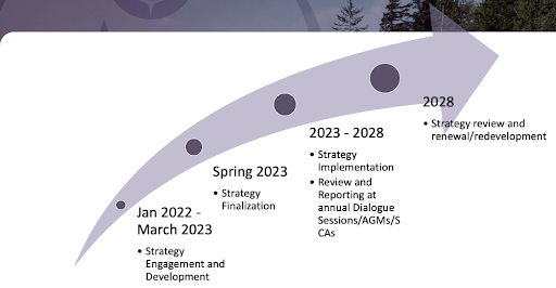 Image of large arrow with 4 bullet points within. From top to bottom: Jan 2022-Mar 2023 Strategy Engagement and Development. Spring 2023 Strategy Finalization. 2023-2028 Strategy Implementation and review and reporting at annual Dialogue Sessions, AGMs, and SCAs. 2028 Strategy review and renewal or redevelopment.
